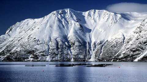 Illustrasjonsfoto: Per Eide Studio / Norwegian Seafood Council