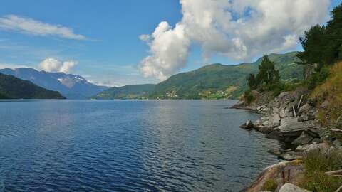 Mattilsynet har undersøkt sjømaten i Førdefjorden før det eventuelt kjem eit sjødeponi for gruveavfall. Resultata viser at fisk og skjell i dag har låge nivå av miljøgifter. Foto: Simo Räsänen