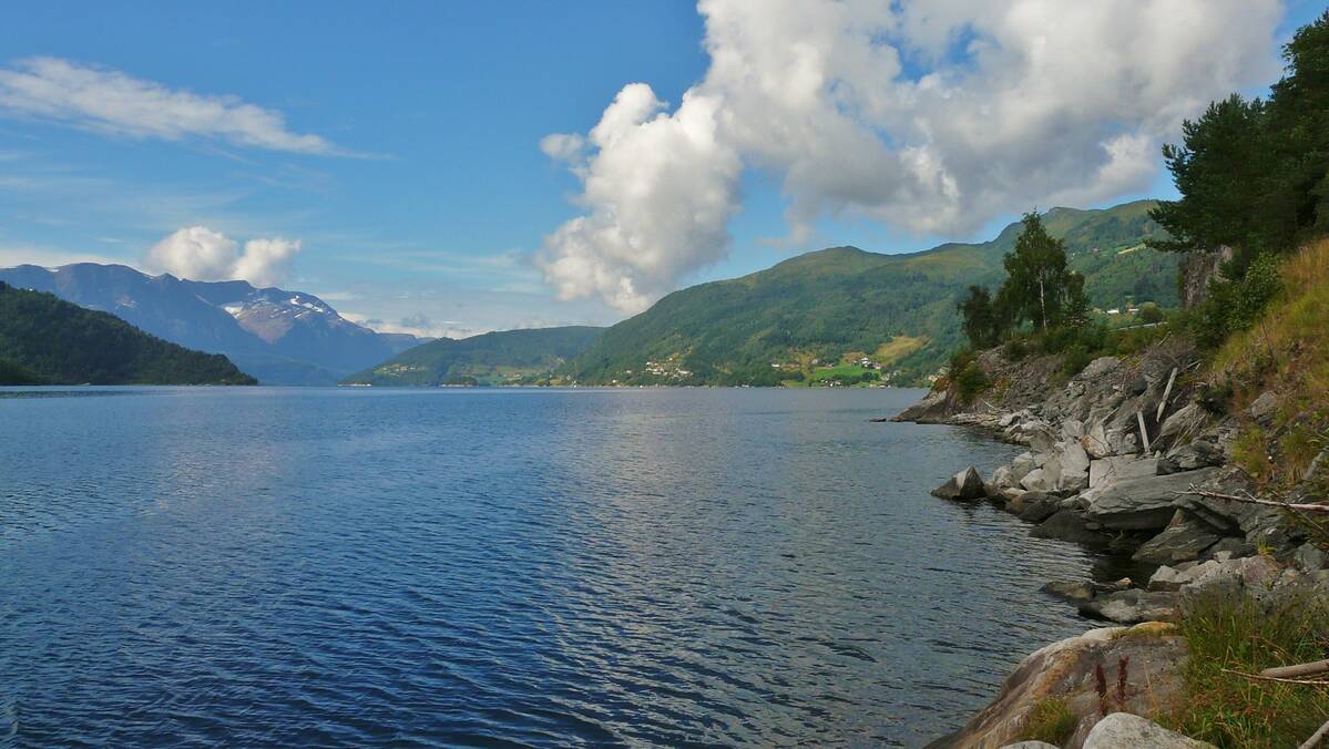 Mattilsynet har undersøkt sjømaten i Førdefjorden før det eventuelt kjem eit sjødeponi for gruveavfall. Resultata viser at fisk og skjell i dag har låge nivå av miljøgifter. Foto: Simo Räsänen