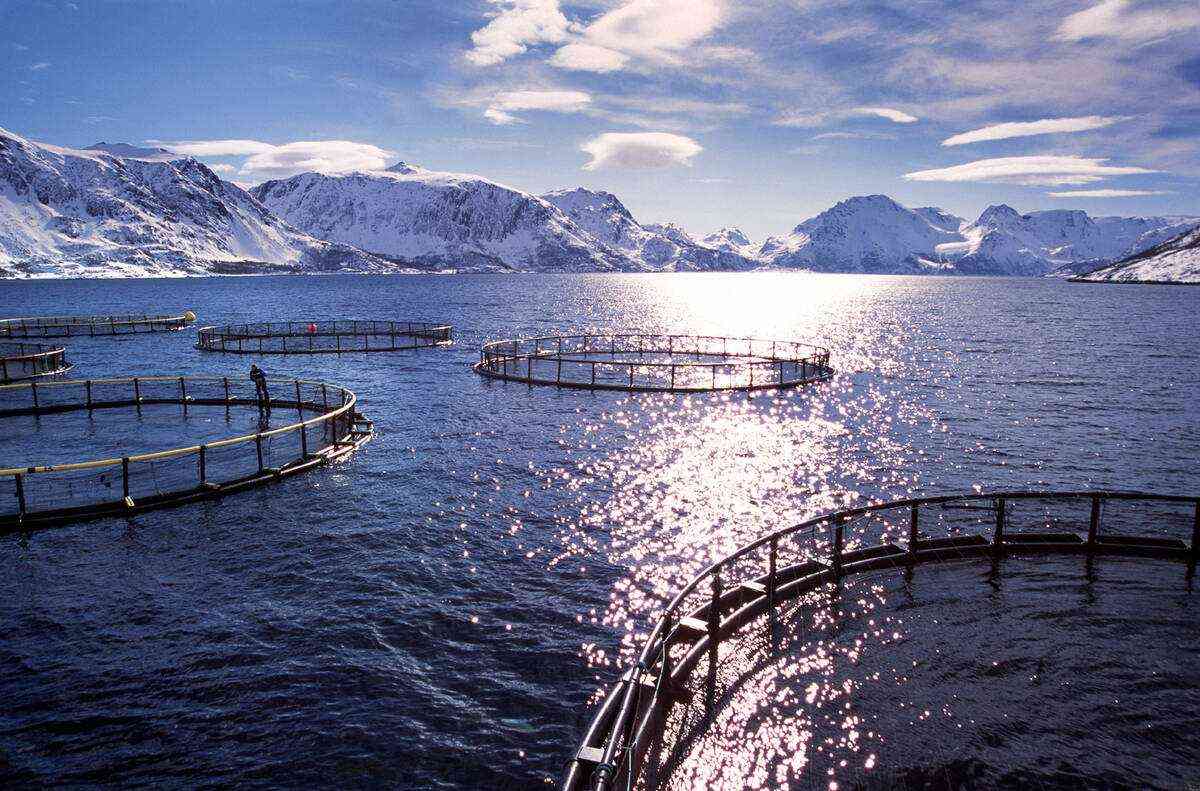 Fiskeoppdrett i vinterkledd landskap. Foto: Per Eide Studio / Norwegian Seafood Council