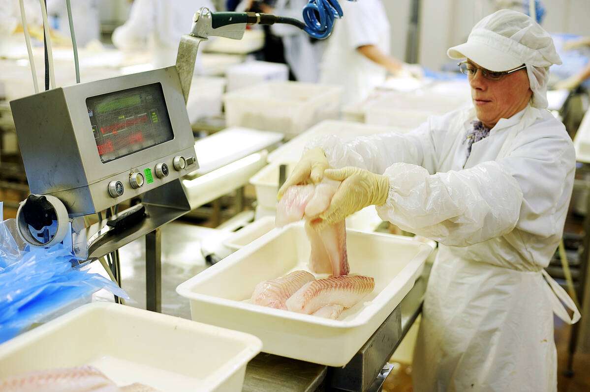 Illustrasjonsfoto: Tom Haga / Norwegian Seafood Council
