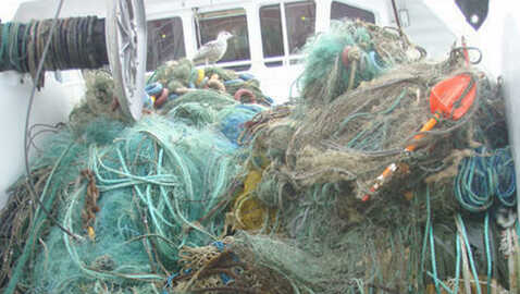 Fangst av tapte garn. Foto: Fiskeridirektoratet