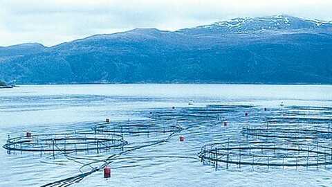 Fiskeoppdrettsanlegg. Foto: Miljødirektoratet