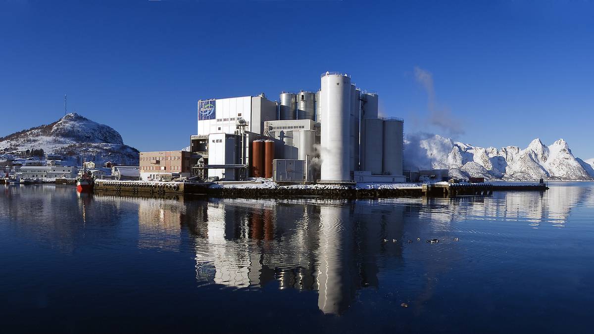 Fiskefôrfabrikken til BioMar AS på Myre Vesterålen. Foto: BioMar AS