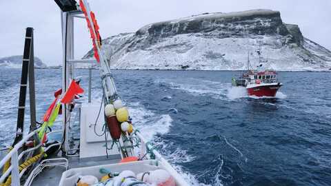Fiskebåter ved Røst. Foto: Johan Wildhagen / Norwegian Seafood Council