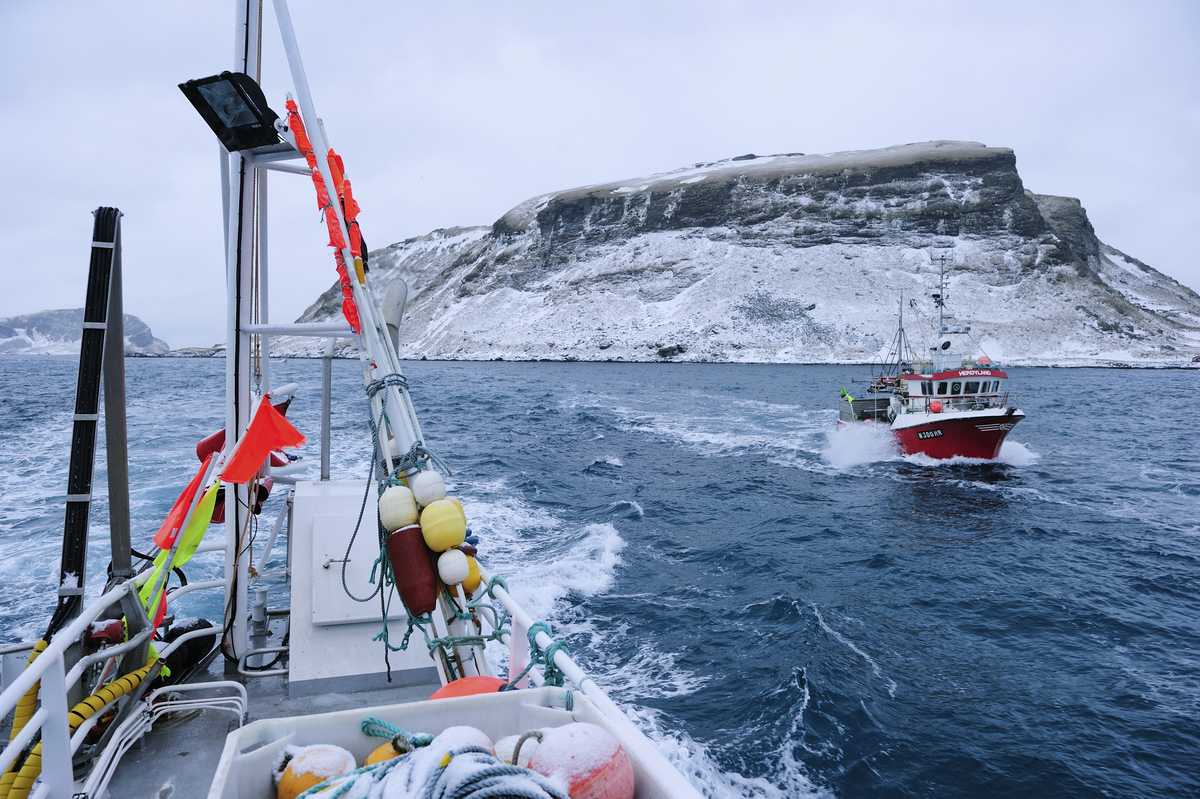 Fiskebåter ved Røst. Foto: Johan Wildhagen / Norwegian Seafood Council