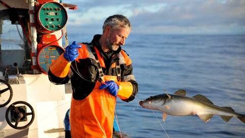 Illustrasjonsfoto: Norges Råfisklag