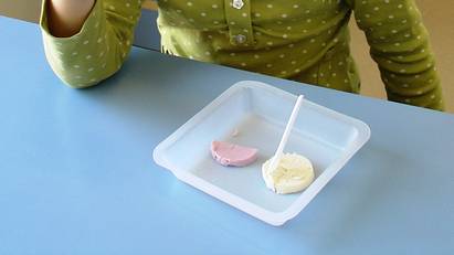 Barna foretrakk lilla fiskepudding. Foto: Turid Mørkøre / Nofima