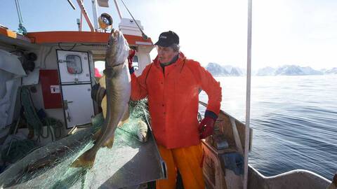 Foto: Johan Wildhagen / Norwegian Seafood Council