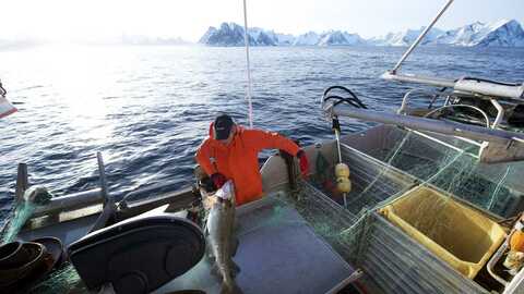 Foto: Johan Wildhagen / Norwegian Seafood Council