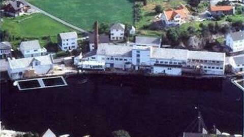Arkivbilde av lakseslakteriet Viking Fjord AS. Foto: Alsaker Fjordbruk AS