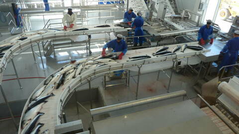 Illustrasjonsfoto: NFD