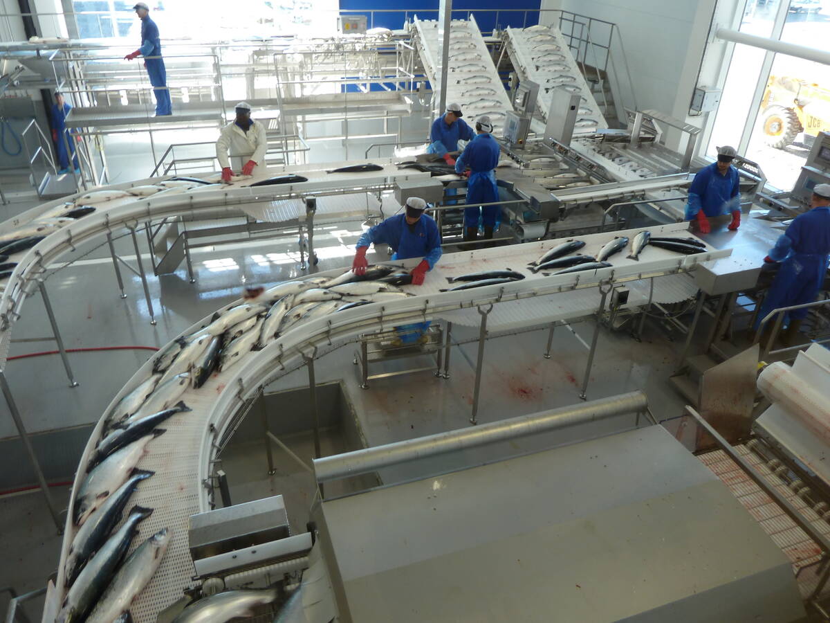 Illustrasjonsfoto: NFD