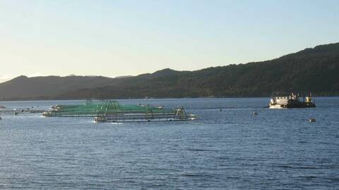 Et fiskeoppdrettsanlegg. Illustrasjonsfoto: Terje Hatlem