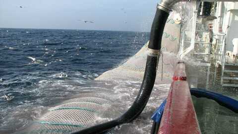 Illustrasjonsfoto: Olav Endre Drønen