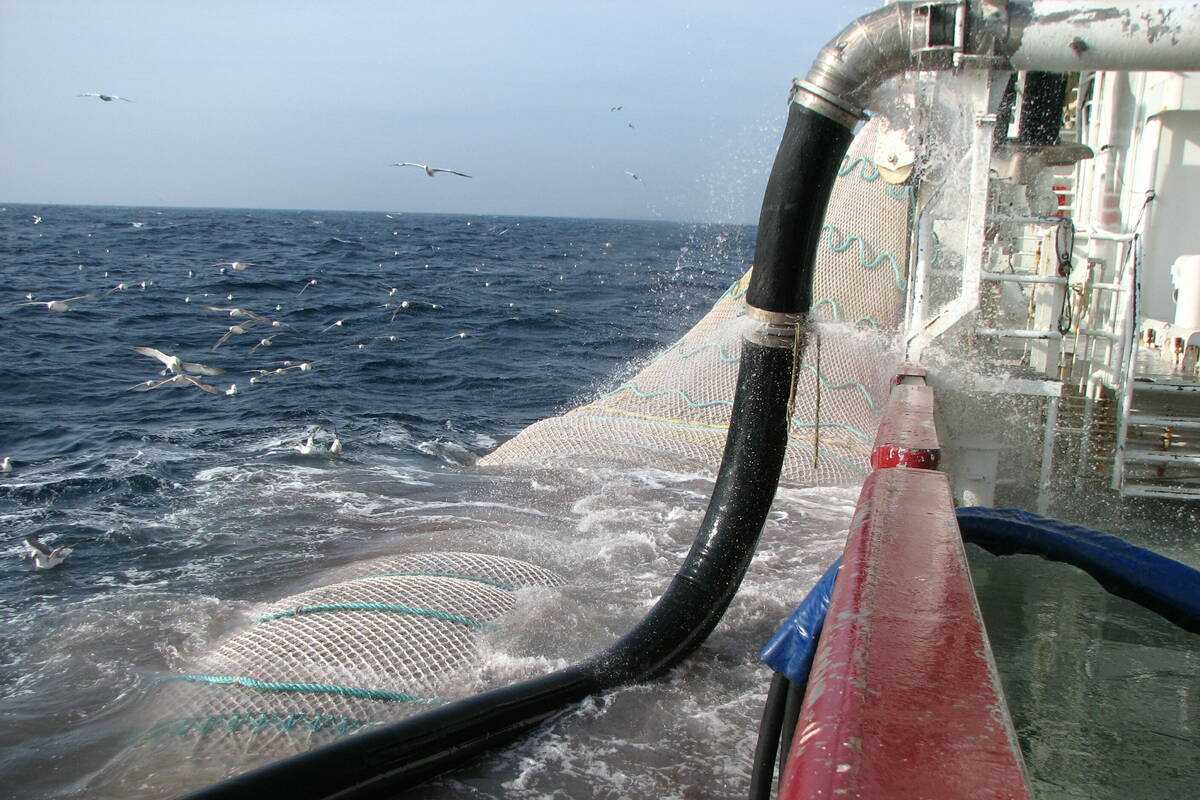 Illustrasjonsfoto: Olav Endre Drønen