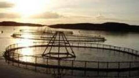 Arkivbilde av et fiskeoppdrettsanlegg. Foto: Aqualine AS