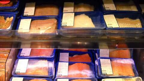 En ferskfiskdisk i Tromsø med filet av laks og hvitfisk. Illustrasjonsfoto: Pjokken Eide / Norwegian Seafood Council