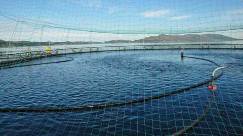 Illustrasjonsfoto: Mattilsynet