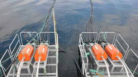 Illustrasjonsfoto: Mattilsynet