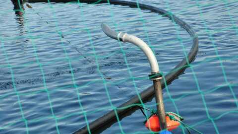 Illustrasjonsfoto: Mattilsynet