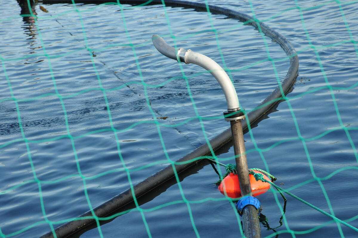 Illustrasjonsfoto: Mattilsynet