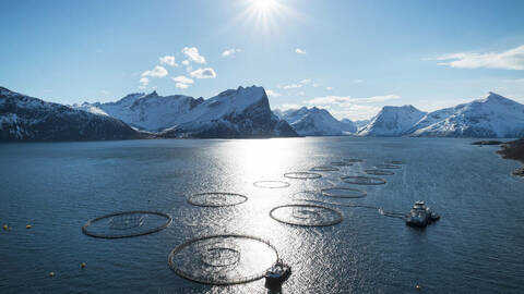 Fiskeoppdrett. Foto: Johan Wildhagen / Norwegian Seafood Council