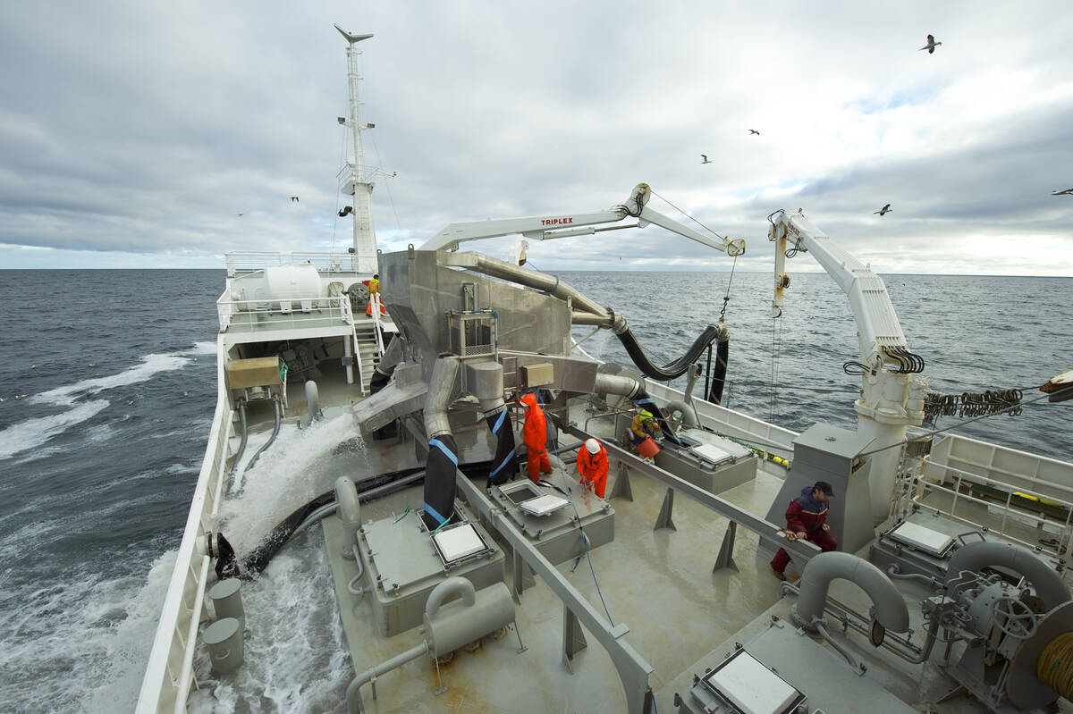Foto: Johan Wildhagen / Norwegian Seafood Council