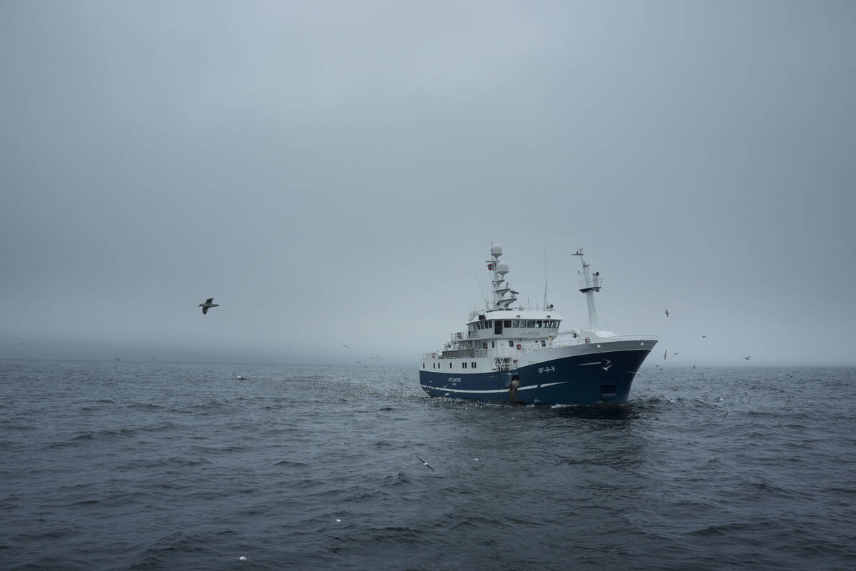 Et havgående linefartøy. Illustrasjonsfoto: Johan Wildhagen / Norwegian Seafood Council