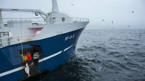 Illustrasjonsfoto: Johan Wildhagen / Norwegian Seafood Council