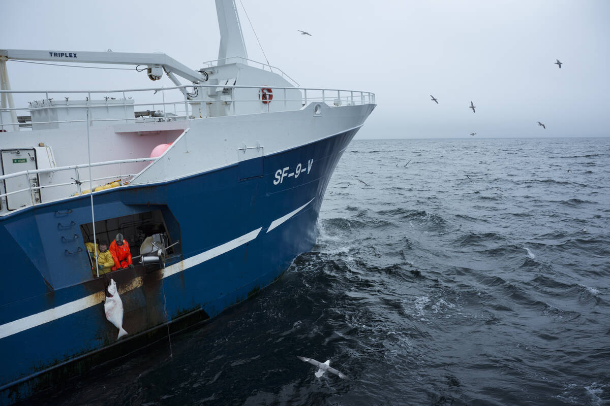Illustrasjonsfoto: Johan Wildhagen / Norwegian Seafood Council