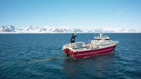 En reketråler ved Svalbard. Foto: Johan Wildhagen / Norwegian Seafood Council
