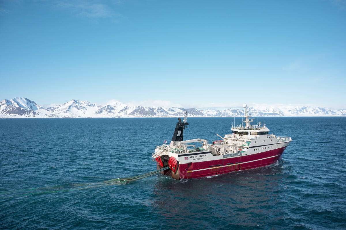 En reketråler ved Svalbard. Foto: Johan Wildhagen / Norwegian Seafood Council
