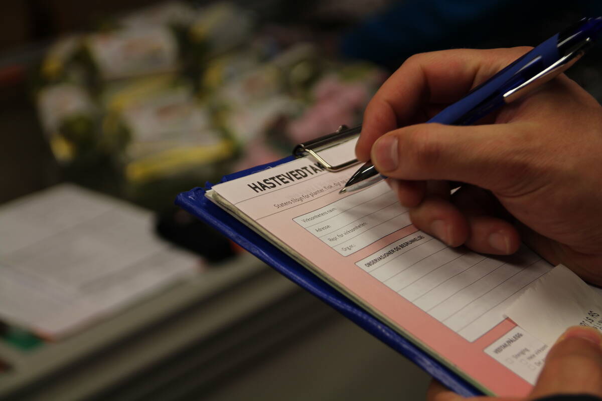 Illustrasjonsfoto: Mattilsynet