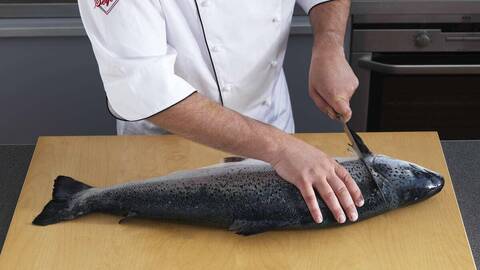 Illustrasjonsfoto: Tom Haga / Norwegian Seafood Council