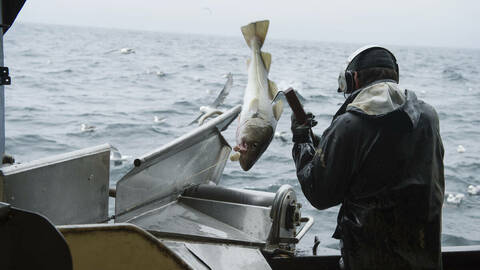 Linefiske. Foto: Johan Wildhagen / Norwegian Seafood Council