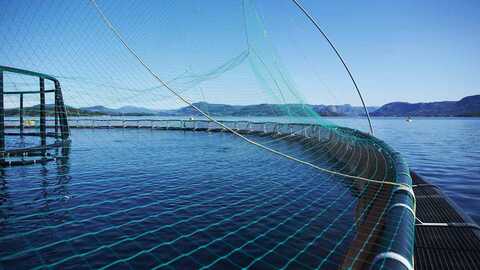 Illustrasjonsfoto: Mattilsynet