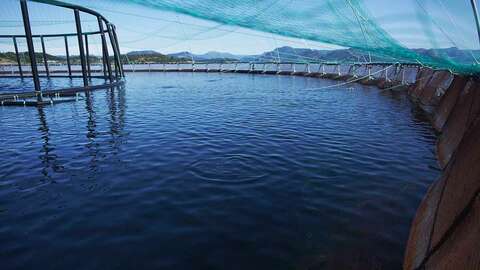 Illustrasjonsfoto: Mattilsynet