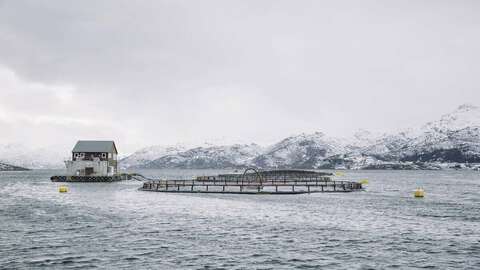 Illustrasjonsfoto: Marius Fiskum / Norwegian Seafood Council
