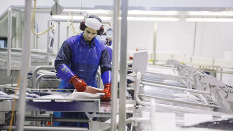 Illustrasjonsfoto: Marius Fiskum / Norwegian Seafood Council