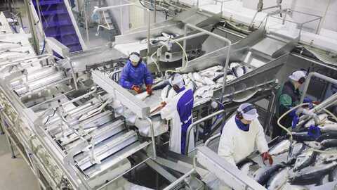 Illustrasjonsfoto: Marius Fiskum / Norwegian Seafood Council