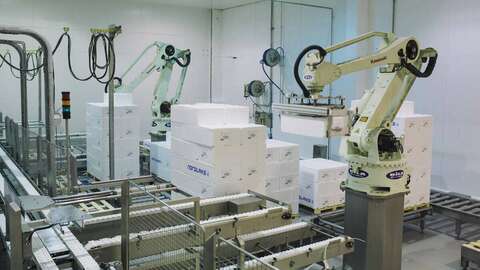 Illustrasjonsfoto: Marius Fiskum / Norwegian Seafood Council