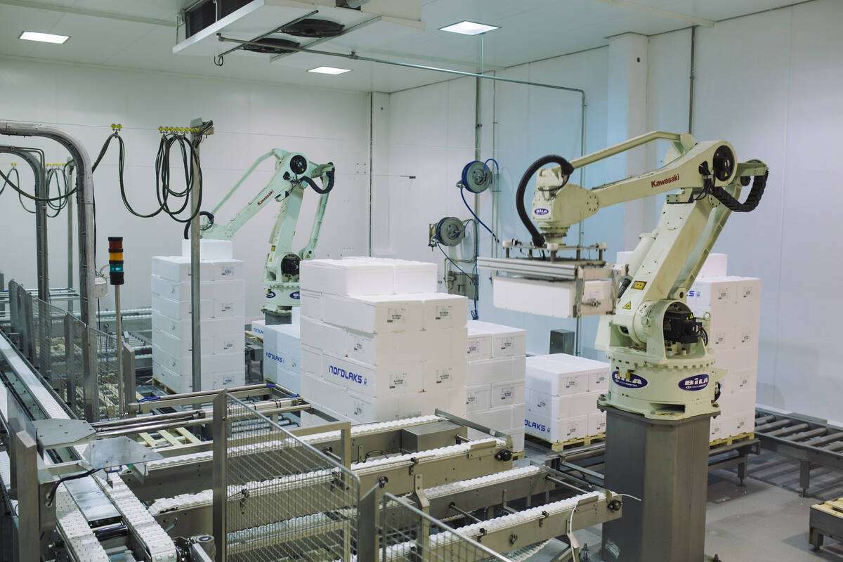 Illustrasjonsfoto: Marius Fiskum / Norwegian Seafood Council