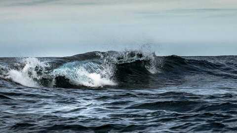 Illustrasjonsfoto: Roald Hatten / Fiskeridirektoratet