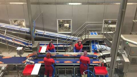 Arkivfoto fra Lerøy Auroras prosessanlegg på Skjervøy i Troms. Foto: NFD