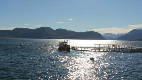 Illustrasjonsfoto: NFD