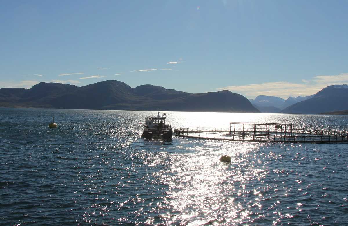 Illustrasjonsfoto: NFD