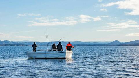 Illustrasjonsfoto: Roald Hatten / Fiskeridirektoratet