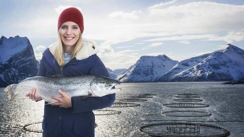 Illustrasjonsfoto: Ole Musken / Norwegian Seafood Council