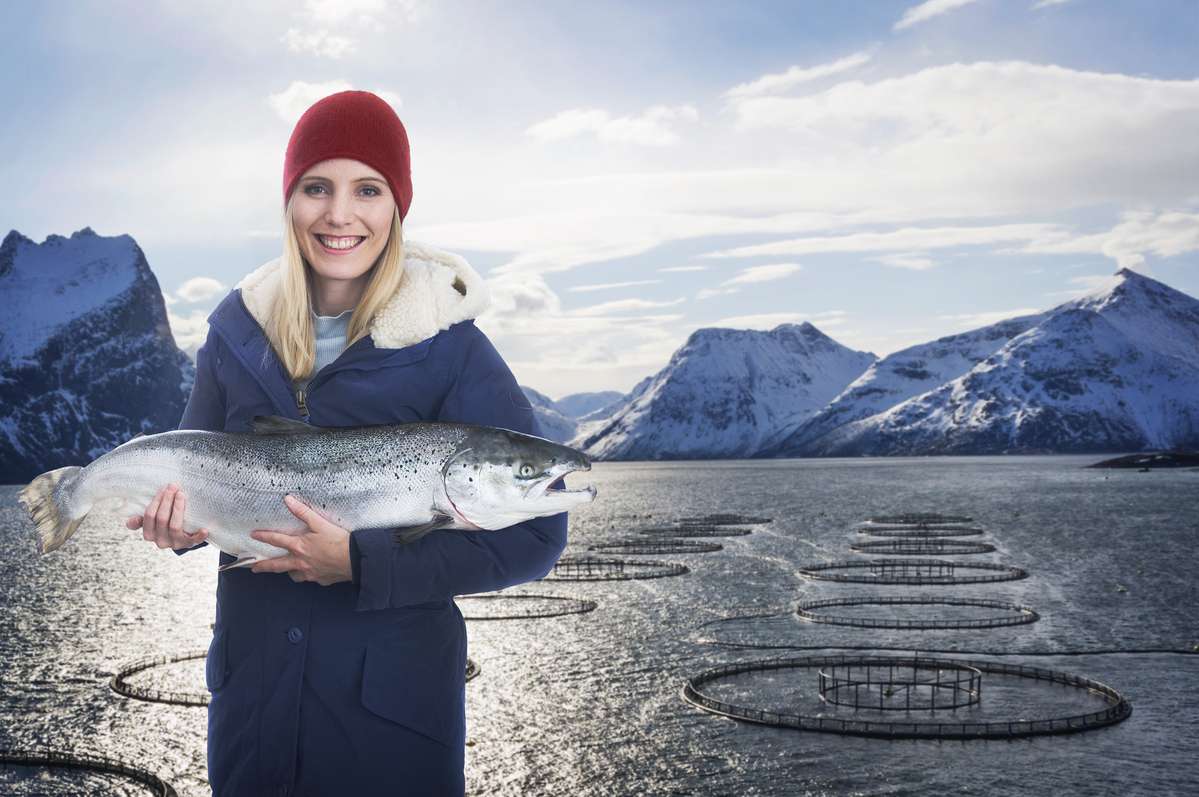 Illustrasjonsfoto: Ole Musken / Norwegian Seafood Council